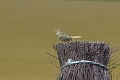 10 07 16_8966_edited-1